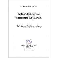 Maîtrise des risques & Fiabilisation des systèmes