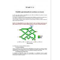 TP 11 : Fiabilité opérationnelle de systèmes en réseaux 
