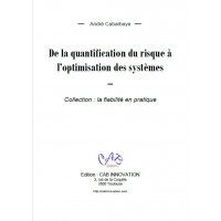 De la quantification du risque à l’optimisation des systèmes